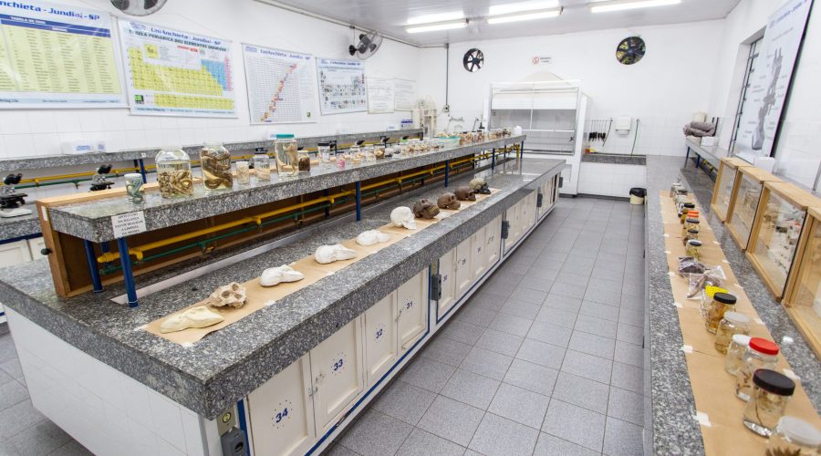 infraestrutura-quimica (22)