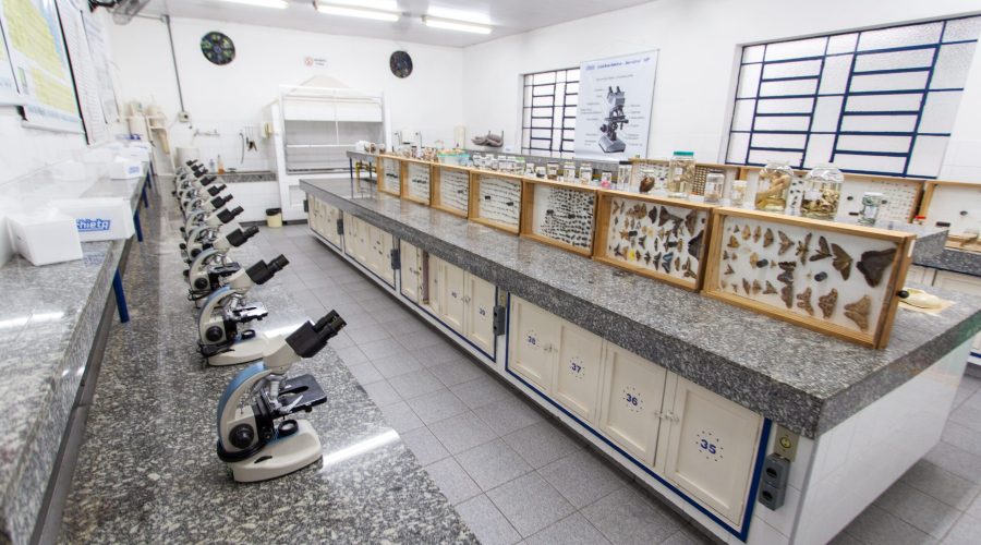 infraestrutura-quimica (23)