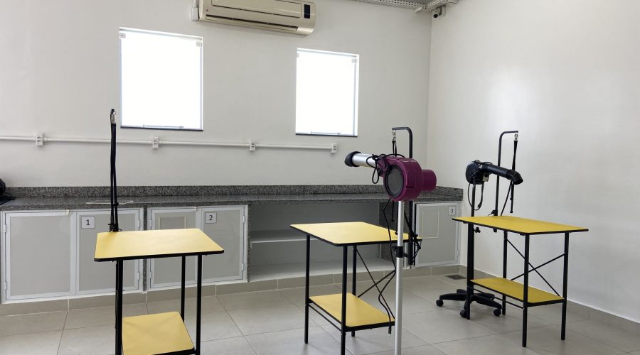 infraestrutura-veterinaria (1)