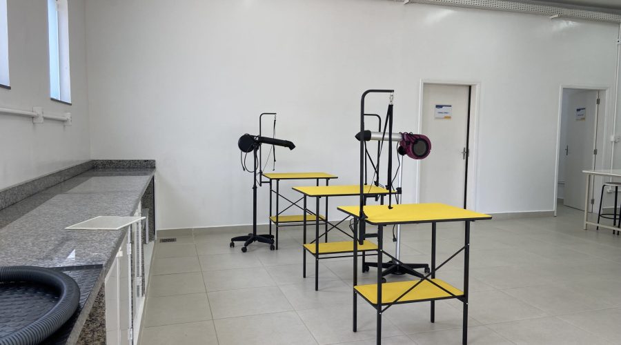infraestrutura-veterinaria (3)