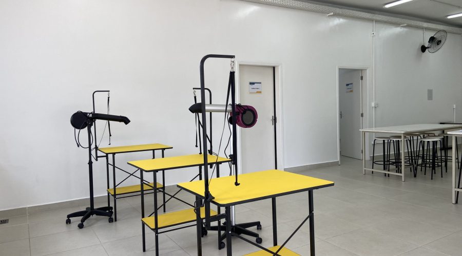 infraestrutura-veterinaria (8)